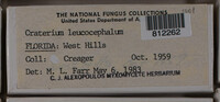 Image Associated With the Occurence
